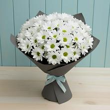 Букет цветов из:  Хризантемы в Коломыцево
