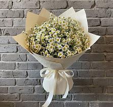Букет цветов из:  Ромашки #REPLACE_PRED# Коломыцево