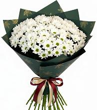 Букет цветов из:  Хризантемы #REPLACE_PRED# Коломыцево