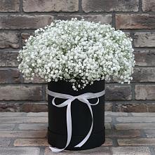 Цветочная композиция из Гипсофила в шляпной коробке в Коломыцево