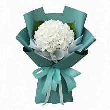 Букет цветов из:  Гортензия #REPLACE_PRED# Коломыцево